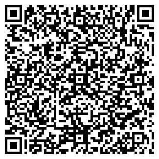 QR-код с контактной информацией организации Woki