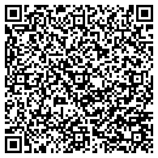 QR-код с контактной информацией организации Чудо Остров