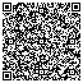 QR-код с контактной информацией организации САФИНА Г.Г., ИП