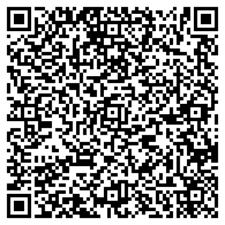 QR-код с контактной информацией организации Детский сад №119