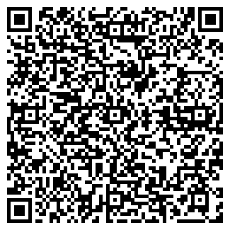 QR-код с контактной информацией организации Детский сад №134
