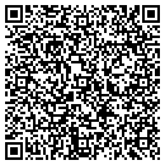 QR-код с контактной информацией организации ООО Кодекс-Томь