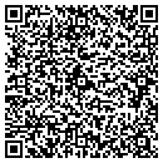 QR-код с контактной информацией организации Премьер такси