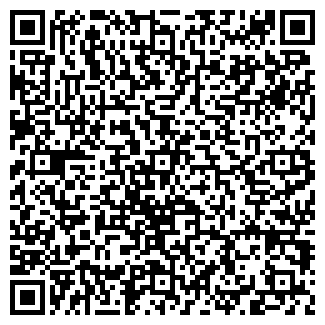 QR-код с контактной информацией организации Ру Алл Биз