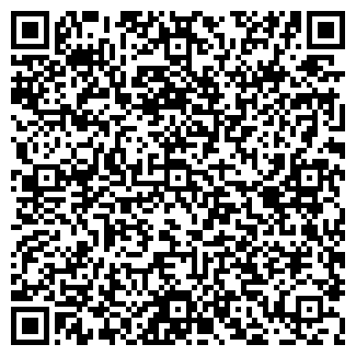 QR-код с контактной информацией организации Колизей