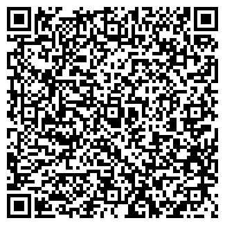 QR-код с контактной информацией организации Станица, мини-маркет