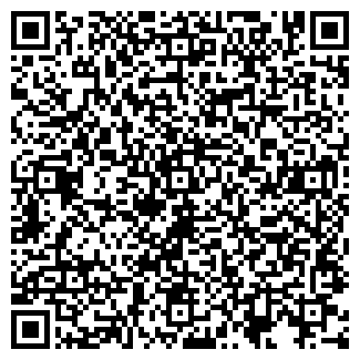 QR-код с контактной информацией организации Бар на ул. Гаугеля, 12