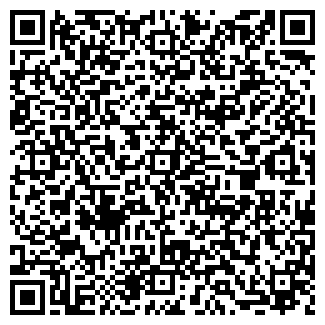 QR-код с контактной информацией организации ЛЕБЕДЬ ООО