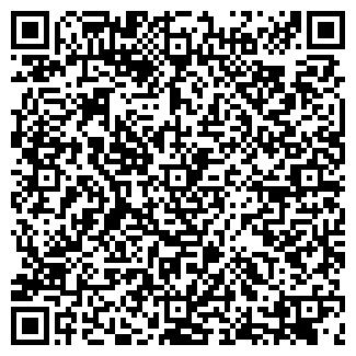 QR-код с контактной информацией организации СНЕЖИНКА