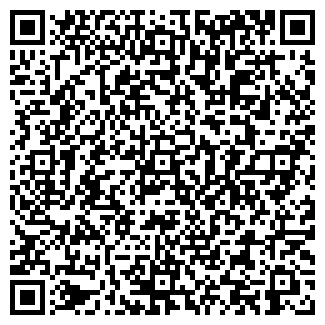 QR-код с контактной информацией организации ВИДЕОТЕХНИКА