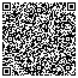 QR-код с контактной информацией организации ДОМИНО-ПРАЙД ООО