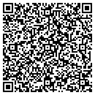 QR-код с контактной информацией организации Самоцветы Сибири