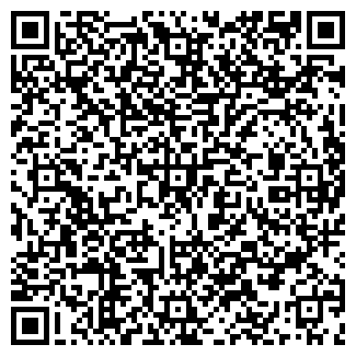 QR-код с контактной информацией организации РОДНИК БИСТРО