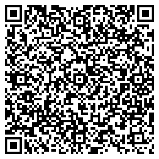 QR-код с контактной информацией организации ВИВА КАФЕ-БАР