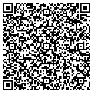 QR-код с контактной информацией организации ВСТРЕЧА ООО ПАЛЛАДА