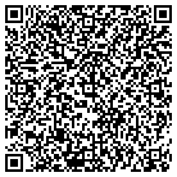 QR-код с контактной информацией организации Sherlock Holmes
