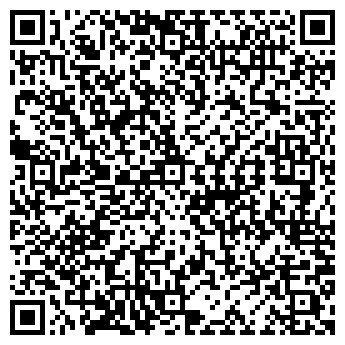 QR-код с контактной информацией организации Maxi mini