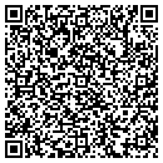 QR-код с контактной информацией организации Алиса