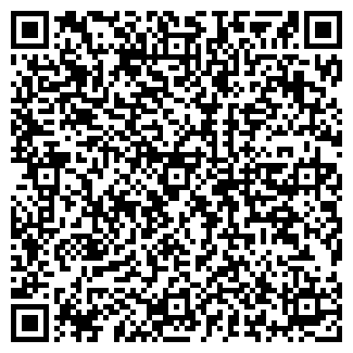 QR-код с контактной информацией организации ООО Рико
