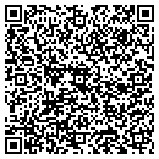 QR-код с контактной информацией организации Лавина