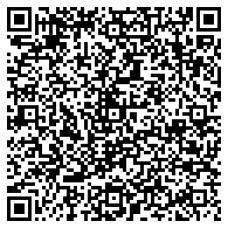 QR-код с контактной информацией организации Алиса