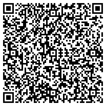 QR-код с контактной информацией организации Мини-Бигс