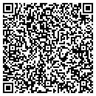 QR-код с контактной информацией организации Просто пицца