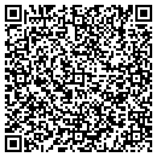 QR-код с контактной информацией организации Dolce mondo