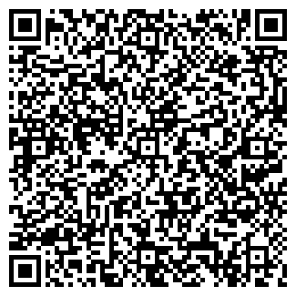 QR-код с контактной информацией организации Плюшкин