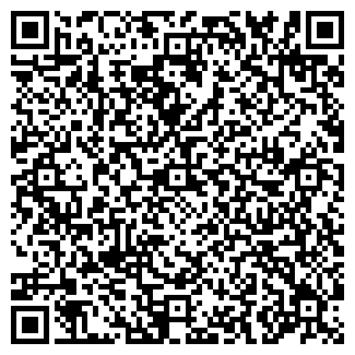 QR-код с контактной информацией организации Qvixi.ru