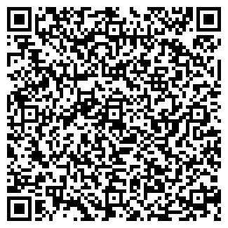 QR-код с контактной информацией организации Lego