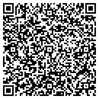 QR-код с контактной информацией организации Леди