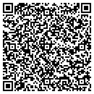 QR-код с контактной информацией организации "Русь" (Закрыта)