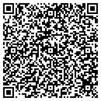 QR-код с контактной информацией организации Goergo
