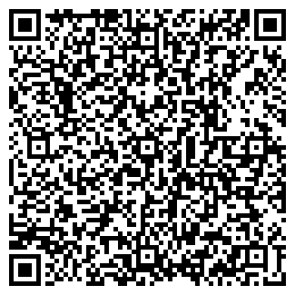 QR-код с контактной информацией организации ВЭМ ПФ ООО