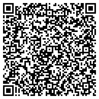 QR-код с контактной информацией организации Wit Mooni