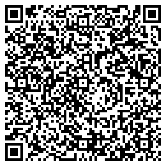 QR-код с контактной информацией организации МЕЗИН Д. Ю. ИП