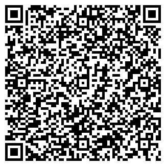 QR-код с контактной информацией организации ООО Львенок