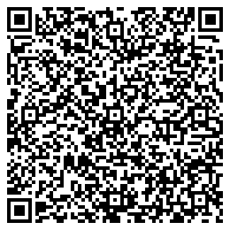 QR-код с контактной информацией организации ИП Старыгина Н.Ю.