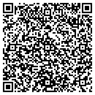 QR-код с контактной информацией организации Алёнка, магазин