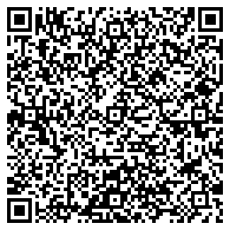 QR-код с контактной информацией организации Алиса