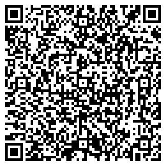 QR-код с контактной информацией организации Lady Обувь