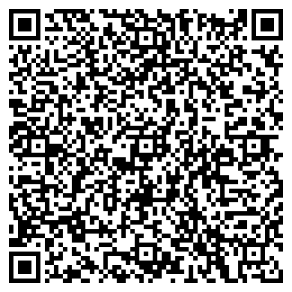 QR-код с контактной информацией организации ИП Климов С.Н.