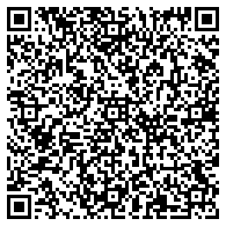 QR-код с контактной информацией организации ИП Королева С.В.