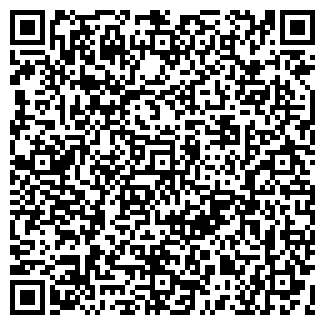 QR-код с контактной информацией организации Vico