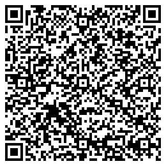 QR-код с контактной информацией организации ИП Старкова Е.В.