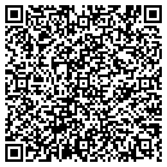QR-код с контактной информацией организации ИП Фроленко Г.А.
