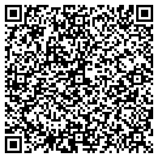 QR-код с контактной информацией организации ИП Левин Р.В.