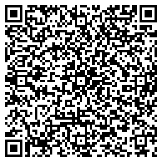 QR-код с контактной информацией организации ГИЗЕТДИНОВ ЧП