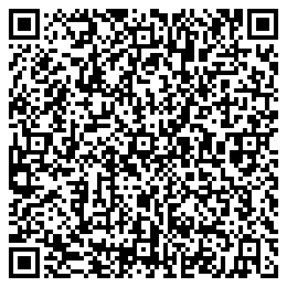 QR-код с контактной информацией организации МИР ДЕТСТВА